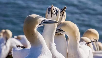 九游网页版官网-基层联赛如何激发更多年轻人热情，如何激发基层活力