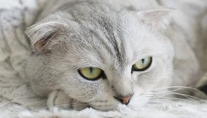 九游网页版官网-基层联赛如何激发更多年轻人热情，如何激发基层活力