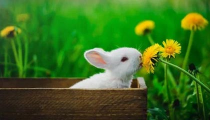 九游网页版官网-基层联赛如何激发更多年轻人热情，如何激发基层活力