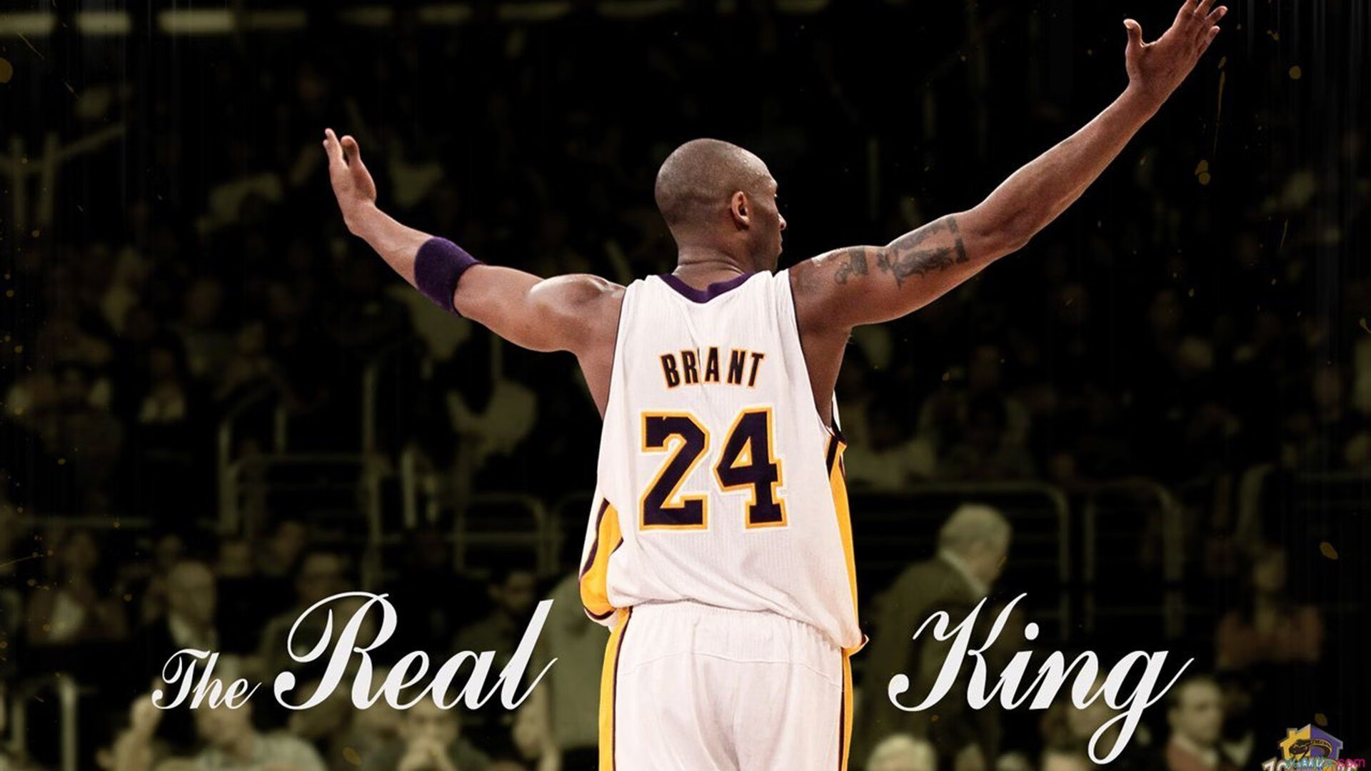 九游官网pc-人才培养新路径：电竞职业教育的制度创新，培养电竞职业选手的学校